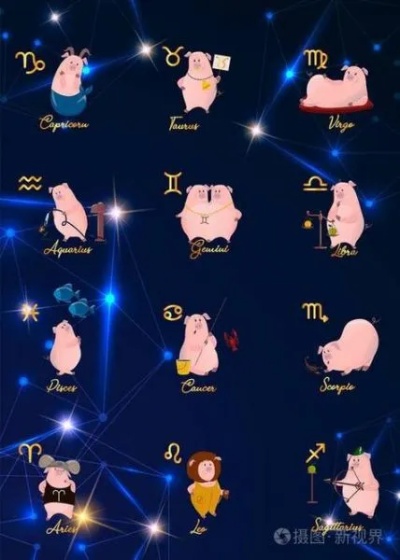 猪年是什么星座（猪年属相及对应星座）