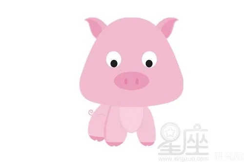 猪年是什么星座（猪年属相及对应星座）