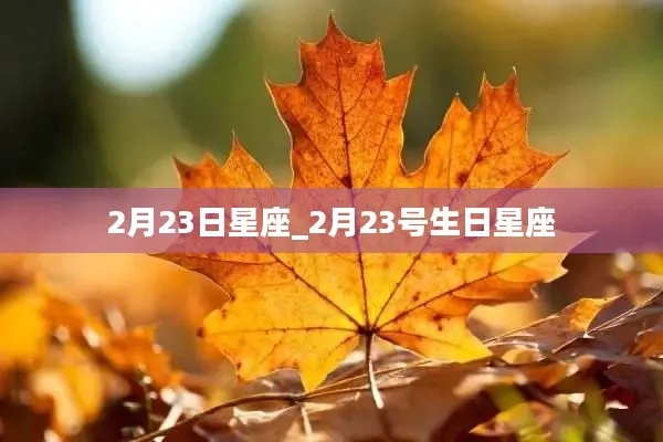 2月23号是什么星座（2月23日生日的人属于哪个星座）