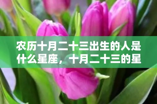 十月二十三号是什么星座（十月二十三号出生人的星座特点）