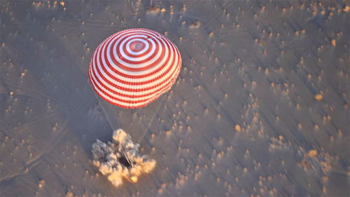 10月31日是什么星座,生日在10月31日的人属于哪个星座？