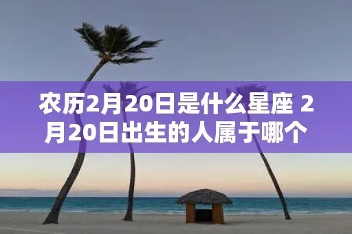 阳历2月20号是什么星座？查看生日星座对性格的影响