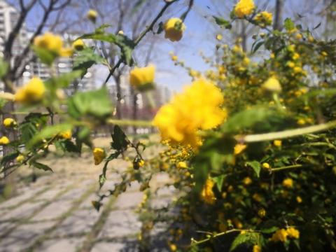 5月29号是什么星座的,5月29日出生人的性格特点及运势分析