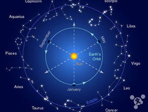 1105是什么星座，1105出生的人性格特点及运势分析