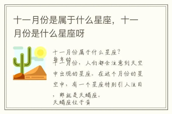 11月的星座是什么（11月份出生的人的星座特点）