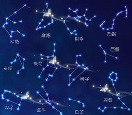 什么星座比较好（星座运势解析）