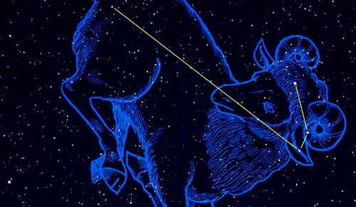 阳历9月12是处女座还是狮子座，星座性格特点分析
