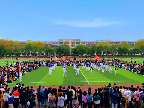 11.23出生的人是什么星座，11月23日星座解析