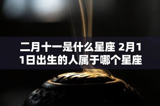2月1日什么星座（2月1日出生人群的星座分析）