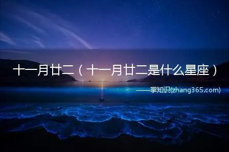 十一月二十二是什么星座（十一月二十二日生日星座分析）