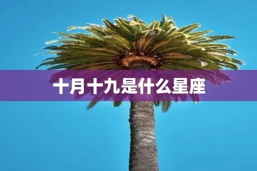 十月九号是什么星座（生日在十月九号的人属于哪个星座）