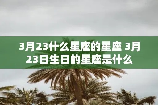 2月初3生日星座是什么，2月初3星座特点分析