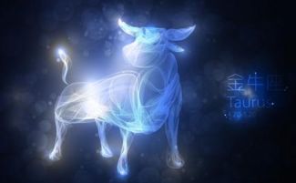 4.20号是什么星座（生日在4月20日的人属于哪个星座）