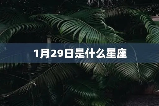 1月29日是什么星座（1月29日出生的人是什么星座）