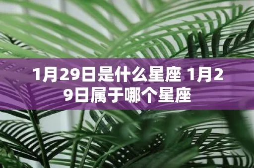 1月29日是什么星座（1月29日出生的人是什么星座）
