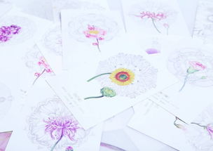 十二星座代表什么花,星座花语大揭秘