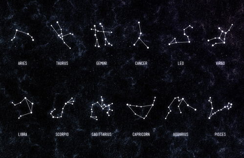 十二星座代表什么花,星座花语大揭秘