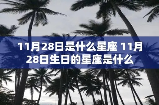 11月28号是什个星座的,11月28日生日星座特点及性格分析