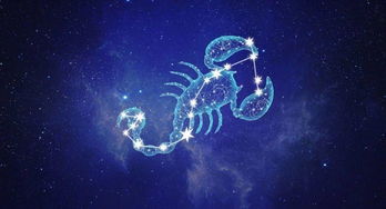 属牛的是什么星座（十二星座之属牛星座）