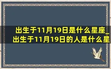 11月19号是什么星座？11月19日出生人的星座特点解析