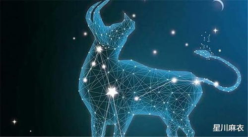 2月20号出生的人是什么星座,2月20日星座运势解析