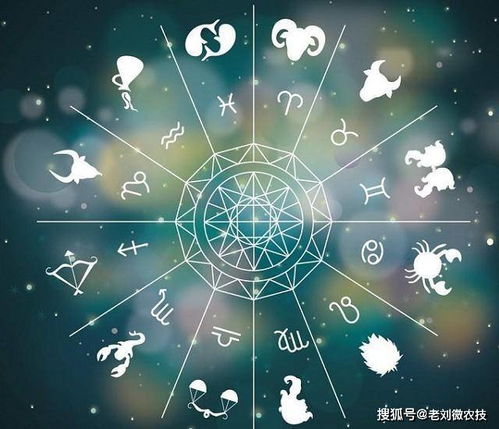 十月24日是什个星座,生日在十月24日的人特点及命运分析