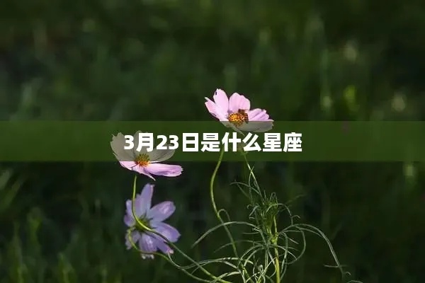 3月23日是什么星座（3月23日出生人的星座特点）