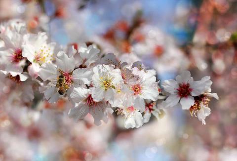 1.5号生日是什么星座（1.5月生日星座解析）