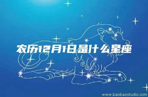 农历12月5日是什么星座（星座查询）