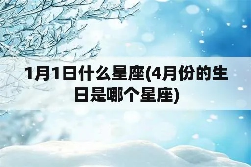 1月1号是什么星座（揭秘1月1日的星座密码）