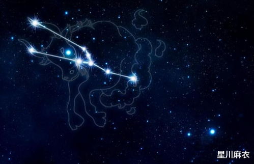 双子座的星座配对双子座与哪些星座最合适？