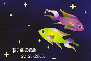 2月15日是什么星座（水瓶座还是双鱼座？）