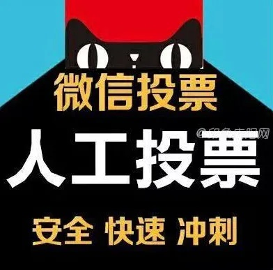 专业微信人工兼职投票价格 微信专业人工投票多少钱一票