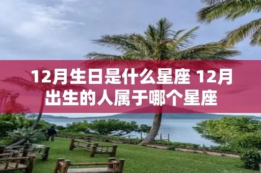 12月12号出生的人是什么星座，12月12日星座特点解析