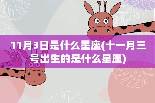 十一月三号是什么星座（十一月三号出生的人的星座是什么）