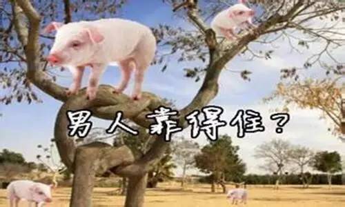 男人什么星座最适合结婚，星座男生最靠谱的排行