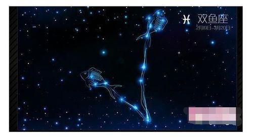 2.25什么星座（生日在2月25日的星座是什么）