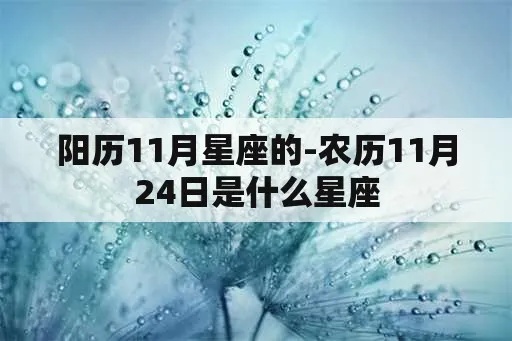 农历11月24日是什么星座（星座查询及解析）
