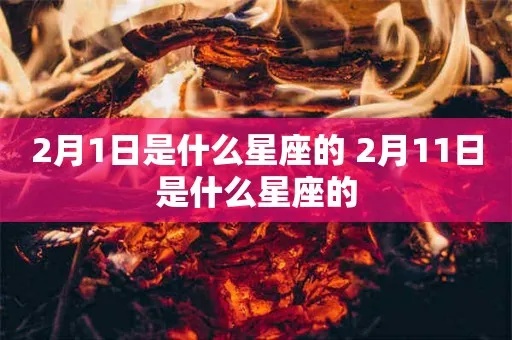 2月1号是什么星座的（2月1日出生人的星座是什么）