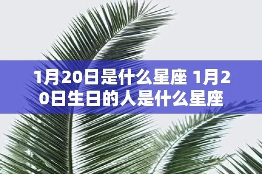 一月二十日出生的人是什么星座,一月二十日星座特点解析