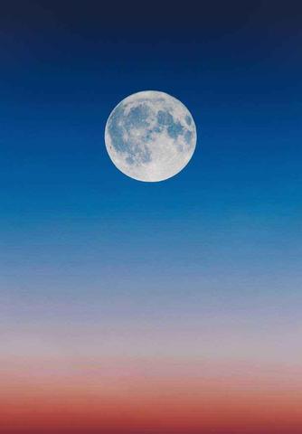 2月初6是什么星座（2月6日生日的人属于哪个星座）