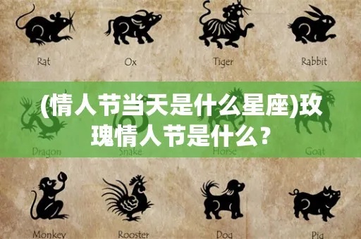 2月14号是什么星座的（情人节的星座配对）