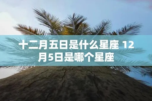 12月五号是什个星座？12月五号生日星座特点详解