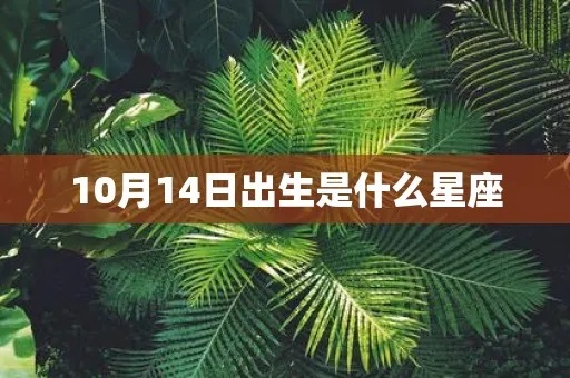 10月14是什么星座（生日在10月14日的星座是什么）