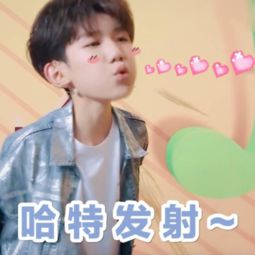 双鱼座男生配什么星座女生最合适