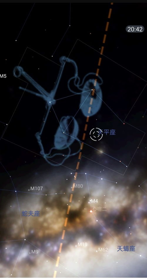 二月十四什么星座（二月十四日出生的人属于哪个星座）