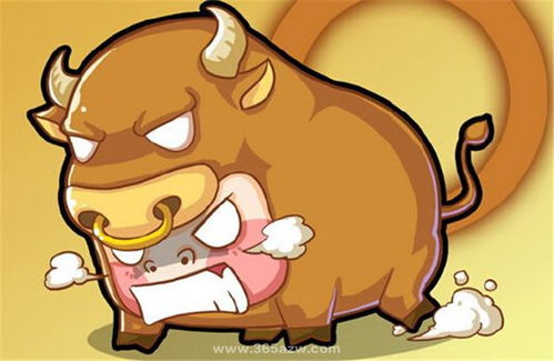5.5生日是什么星座,5月5日生日星座特点分析