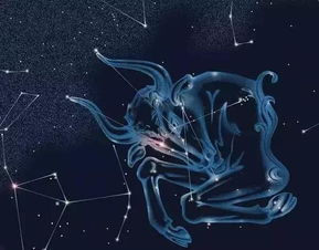什么星座性格最适合创业者（星座与职业的契合度）