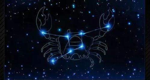 什么星座性格最适合创业者（星座与职业的契合度）