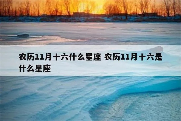 农历11月16日是什么星座（星座查询指南）